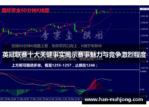 英冠联赛十大关键事实揭示赛事魅力与竞争激烈程度