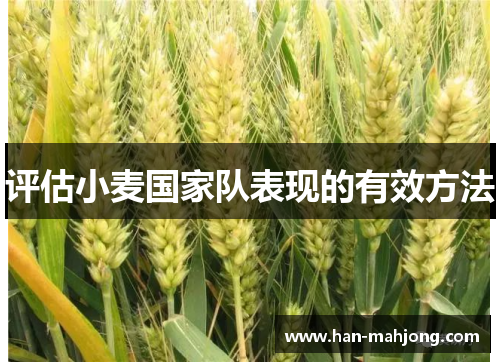评估小麦国家队表现的有效方法