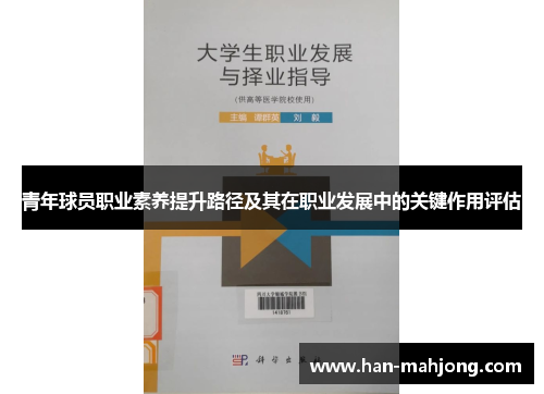 青年球员职业素养提升路径及其在职业发展中的关键作用评估 青年球员职业素养提升路径及其在职业发展中的关键作用评估